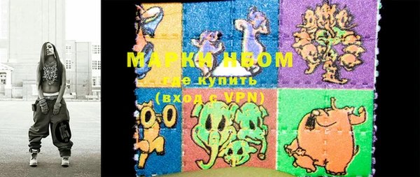 твердый Магас