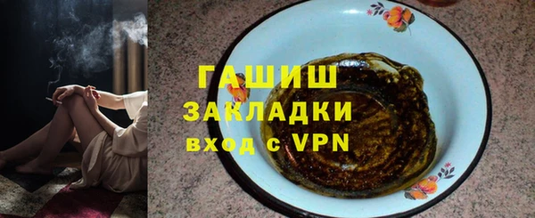 твердый Магас