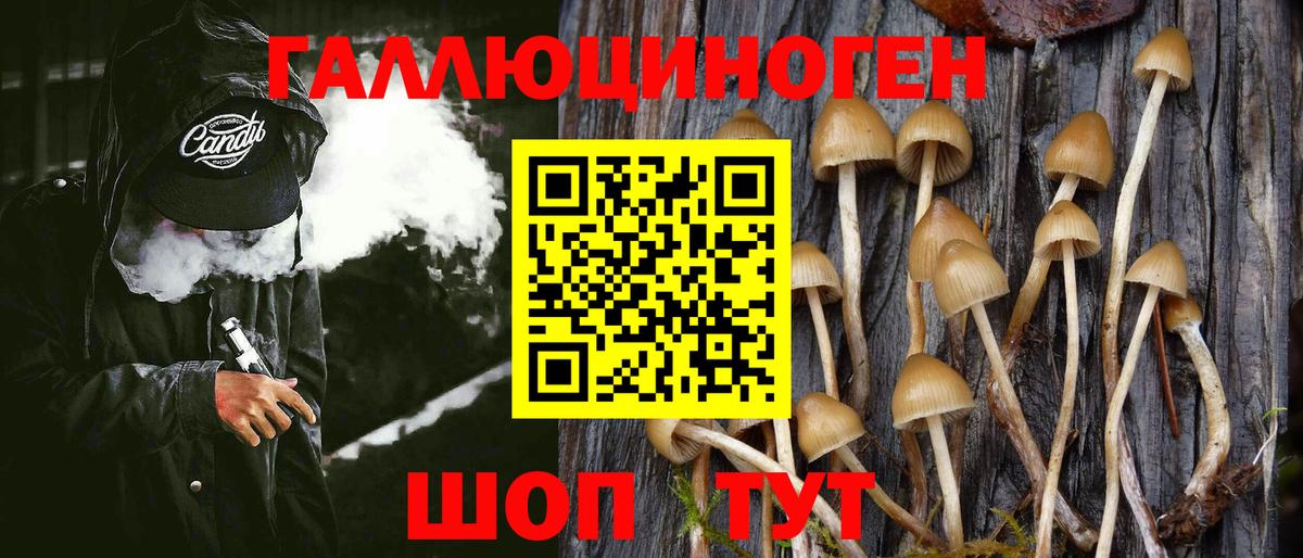 Псилоцибиновые грибы ЛСД Кувандык