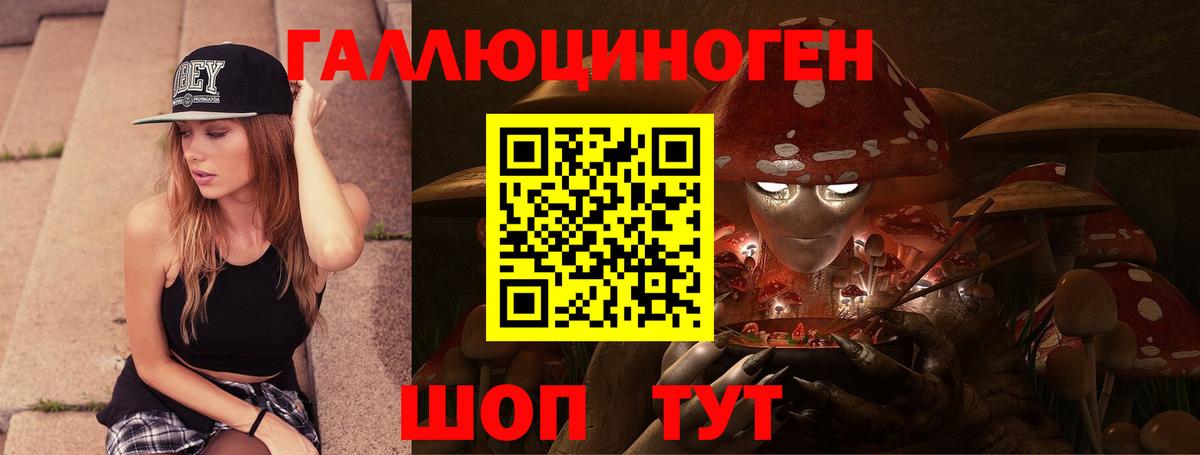 Галлюциногенные грибы Psilocybe  Кувандык  Галлюциногенные грибы Magic Shrooms 