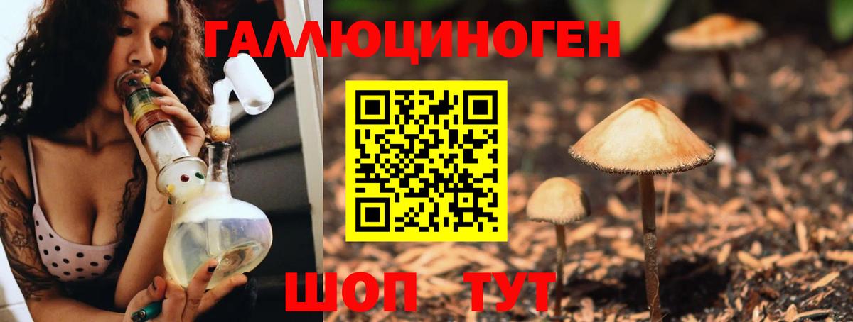 Галлюциногенные грибы Psilocybe Кувандык