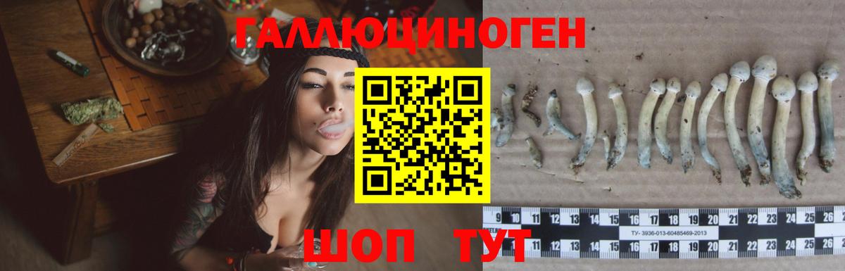 Псилоцибиновые грибы MAGIC MUSHROOMS  Псилоцибиновые грибы прущие грибы  Кувандык  Вход с VPN 